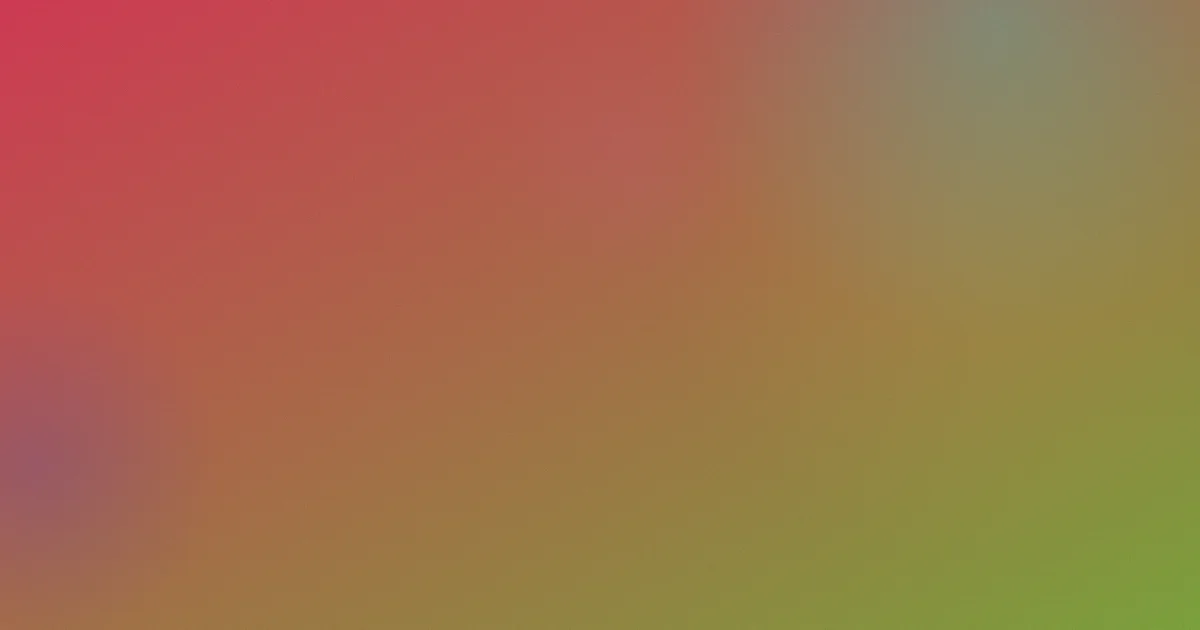 李恩美电影是什么？一文讲清